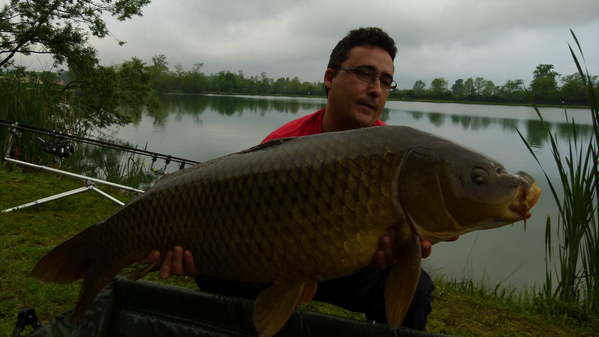 ISOLA DEL PESCATORE 9 - 11 mai. - p1030455.JPG